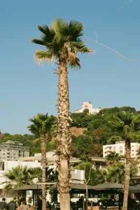 Tirana i Durrës